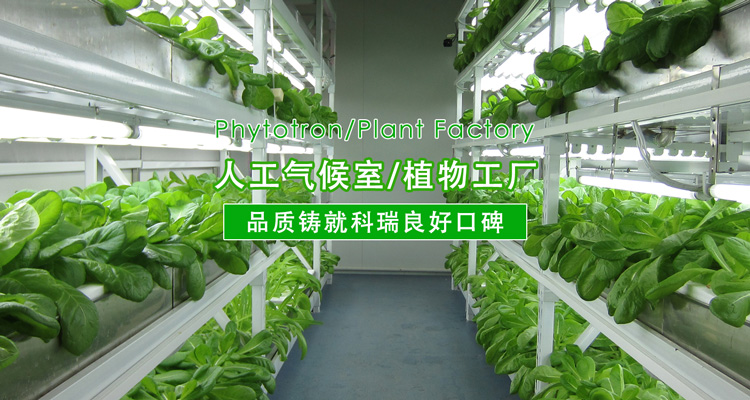 2-http://www.9995786.com/uploads/190724/1-1ZH416094V41.jpg